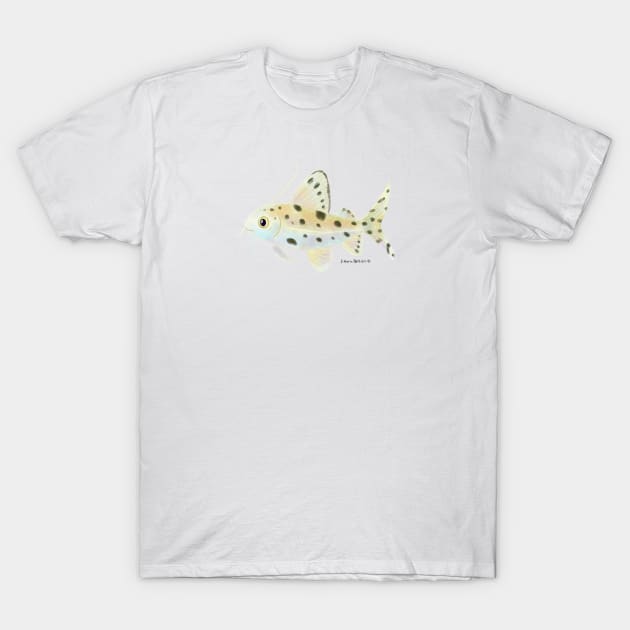 Pictus Catfish T-Shirt by julianamotzko